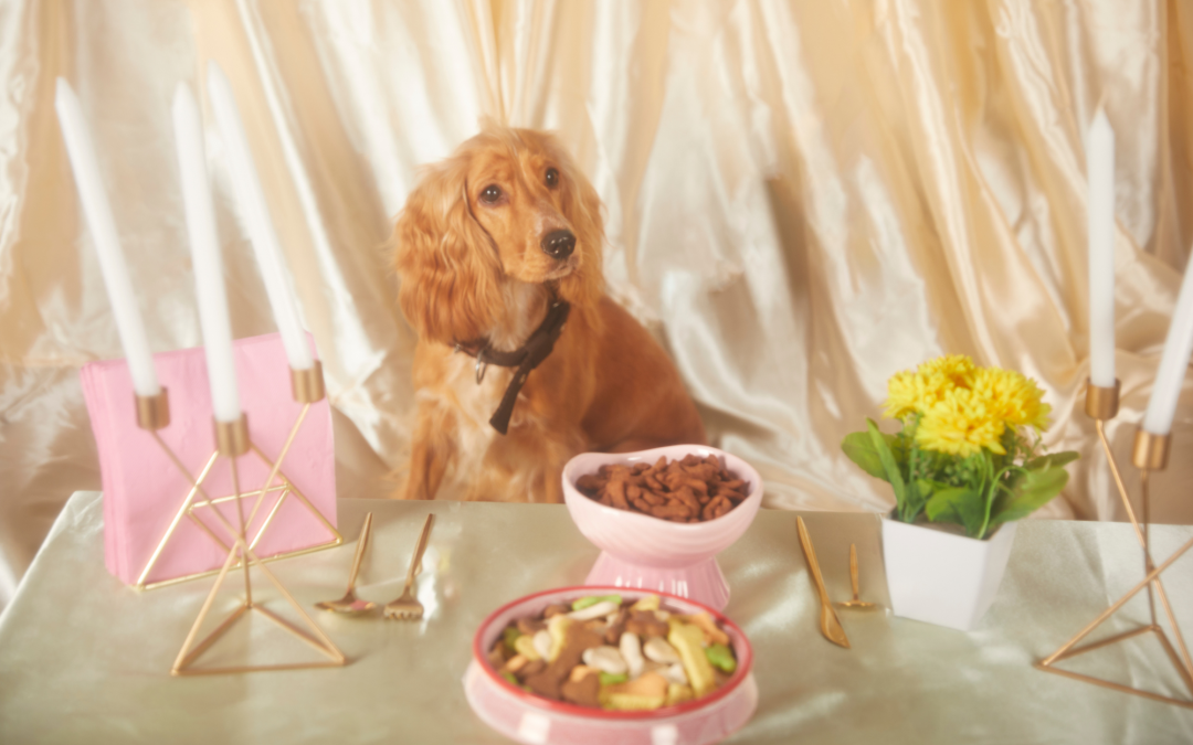 Four Things to Consider Before Buying Pet Food